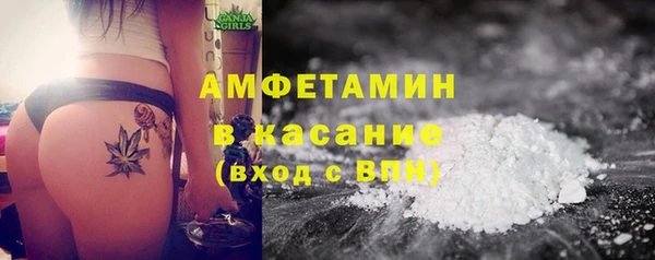 шишки Надым