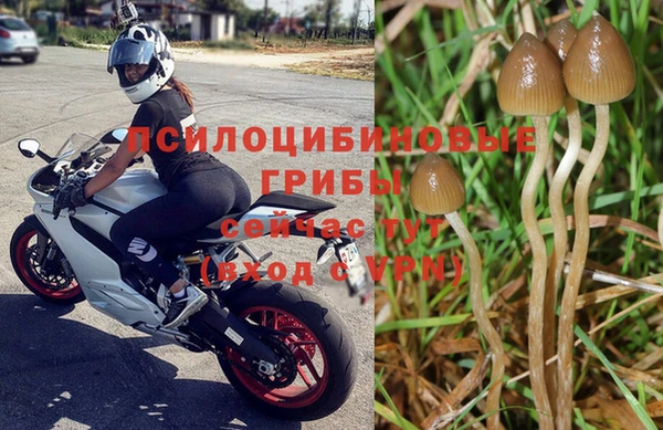 прущий лед Армянск