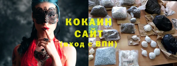 крисы Арсеньев