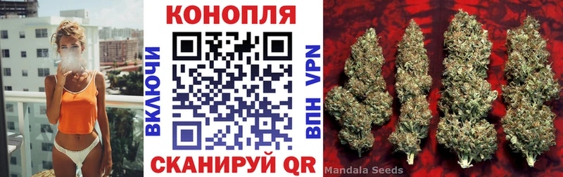 Шишки марихуана план Долгопрудный